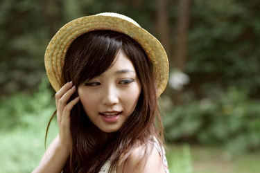 安装步骤示意图